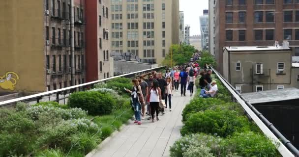 Nova Cidade Iorque Maio 2015 Pessoas Relaxando High Line Park — Vídeo de Stock