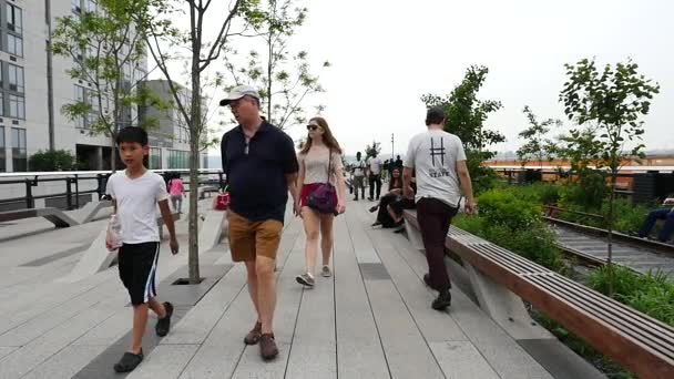 Nova Cidade Iorque Maio 2015 Pessoas Relaxando High Line Park — Vídeo de Stock