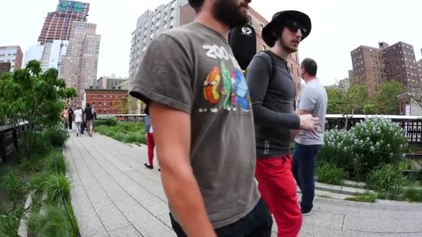 Nova Cidade Iorque Maio 2015 Pessoas Caminhando High Line Park — Vídeo de Stock