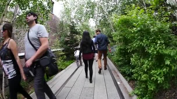 New York City Mayıs 2015 Yüksek Hat Park Üzerinde Yürüyen — Stok video