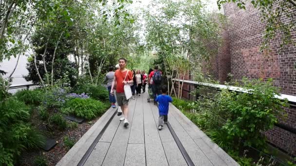 New York City Maja 2015 Ludzi Chodzących High Line Park — Wideo stockowe