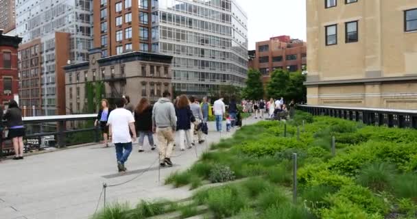 New York City Maja 2015 Ludzi Chodzących High Line Park — Wideo stockowe