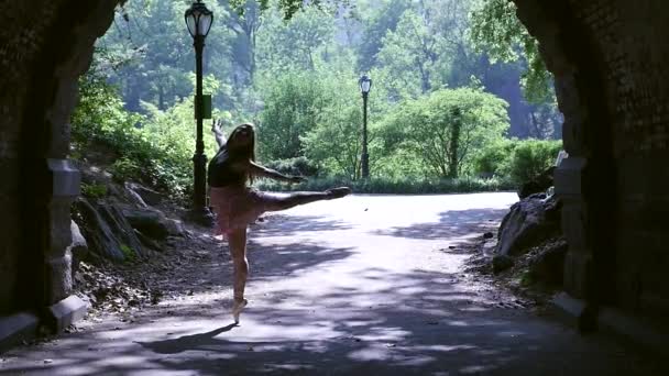 Joven Hermosa Bailarina Bailando Central Park Nueva York Con Fondo — Vídeos de Stock