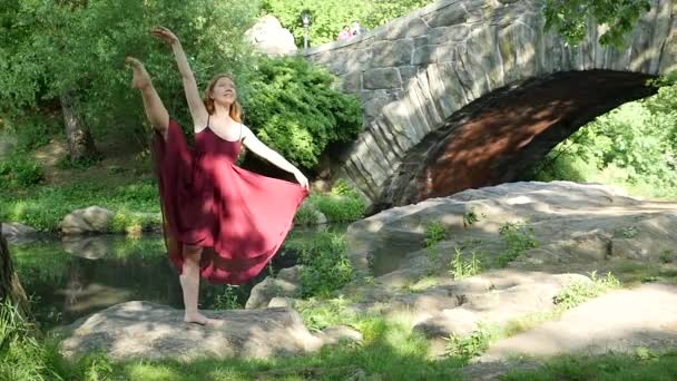 Junge Schöne Ballerina Tanzt Central Park New York Mit Skyline — Stockvideo