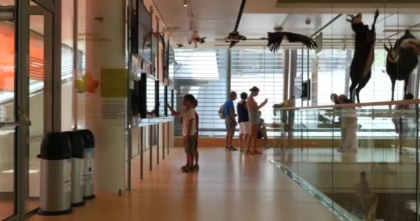 Trento Włochy Lipca 2015 Widok Wewnątrz Muse Interaktywne Muzeum Zaprojektowany — Wideo stockowe