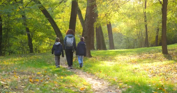 ウォーキングファミリーと秋の公園の景色 — ストック動画