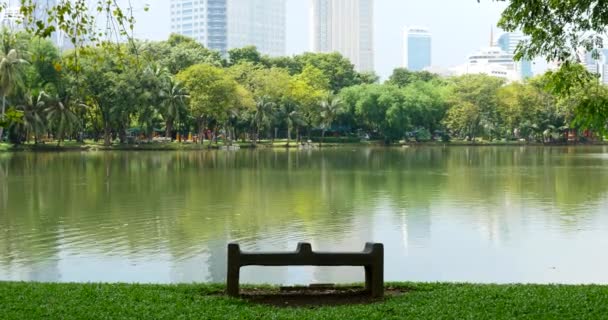湖畔长凳景观 反映绿地和现代建筑 — 图库视频影像