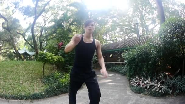 Asiático Hombre Entrenamiento Aire Libre Oriental Martial Arts — Vídeos de Stock