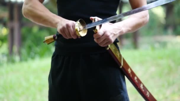 Asiático Hombre Entrenamiento Aire Libre Oriental Martial Arts — Vídeo de stock