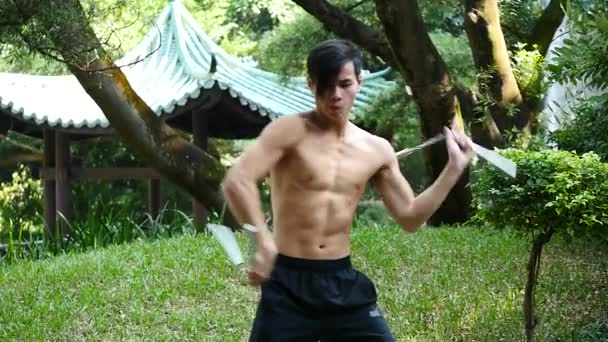 Aziatische Man Training Outdoor Oosterse Vechtsport — Stockvideo