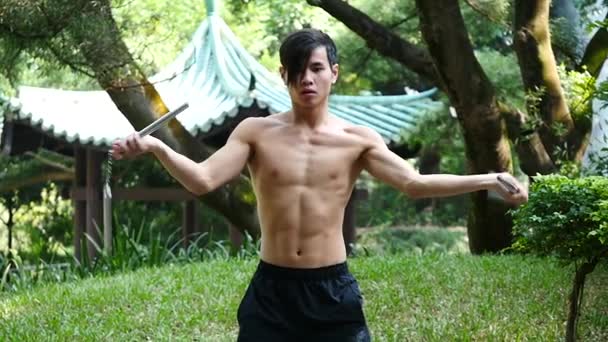 Asiático Hombre Entrenamiento Aire Libre Oriental Martial Arts — Vídeos de Stock
