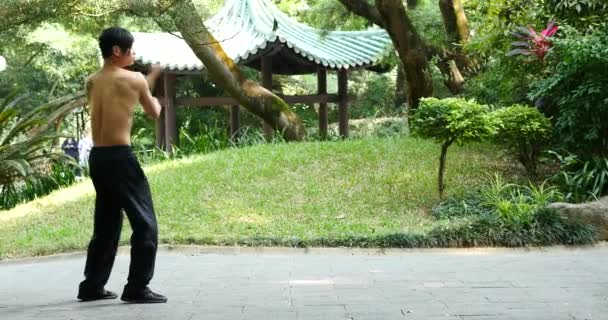 Asiático Hombre Entrenamiento Aire Libre Oriental Martial Arts — Vídeos de Stock