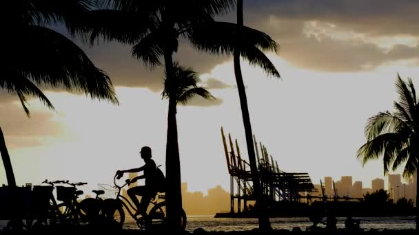 Zonsondergang Scène Zuid Pointe Park Miami Baai Bij Zonsondergang Florida — Stockvideo