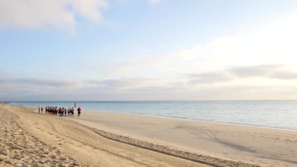 Multitud Personas Corriendo Playa Arena Luz Del Sol — Vídeo de stock