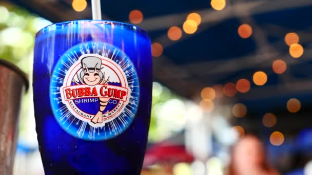 Miami Beach Marzo 2016 Cóctel Dentro Del Restaurante Bubba Gump — Vídeos de Stock