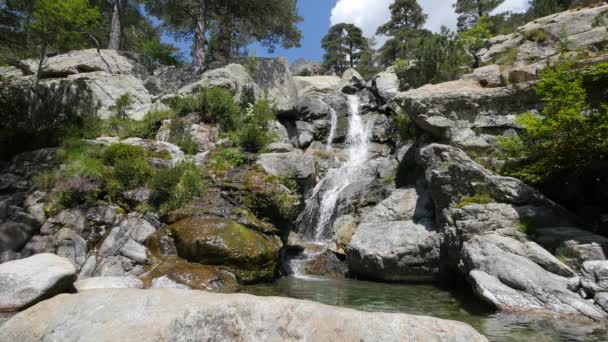 Picturesque View Rapid Flow Tropical Waterfall Rocky Landscape Sunny Day — Stock Video