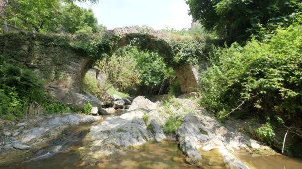 Stone Arch Green Scene Flowing Creek — Stock Video