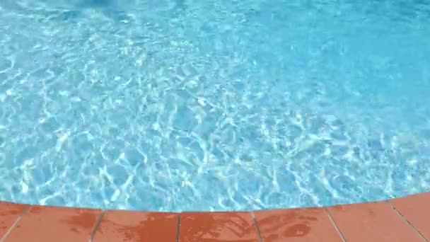 Sexy tatuaggio donna ritratto indossando bikini all'interno della piscina — Video Stock