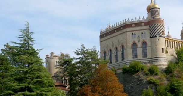 Vista Panorâmica Antigo Edifício Castelo Com Árvores Outono — Vídeo de Stock