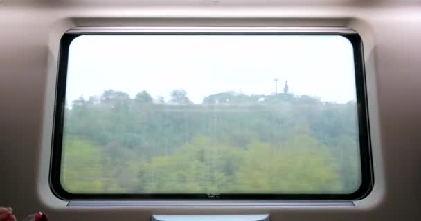 Utsikt Över Grönska Från Rörligt Tåg Fönster — Stockvideo