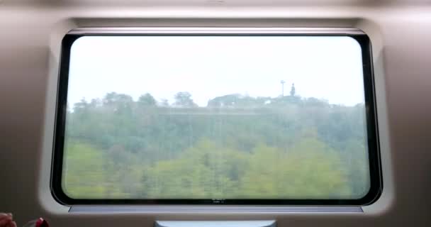 Vista Vegetación Desde Ventana Del Tren Movimiento — Vídeos de Stock