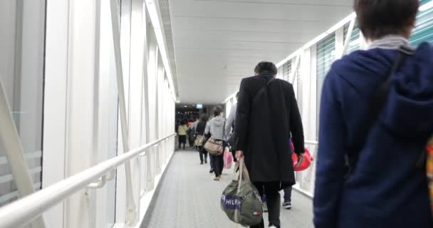 Tokyo Japão Circa March 2017 Chegada Dentro Aeroporto Narita Aeroporto — Vídeo de Stock
