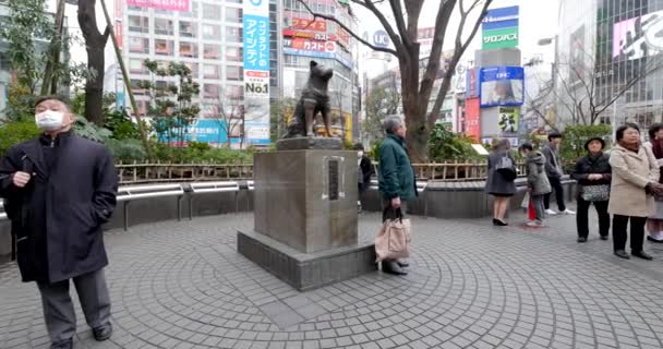 Tokyo Circa 2017年3月 ハチ公像 ハチ公は所有者への忠誠心の高さで記憶され 所有者の死後も何年も続いた タイムラプス映像 — ストック動画