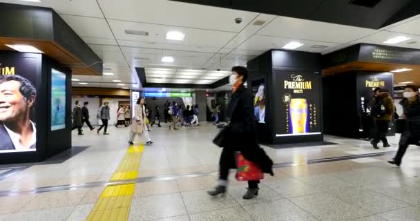 Tokyo Japon Circa Mars 2017 Des Gens Marchent Intérieur Gare — Video