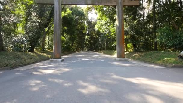 Vista Del Arco Asiático Madera Con Exuberante Vegetación Fondo — Vídeos de Stock