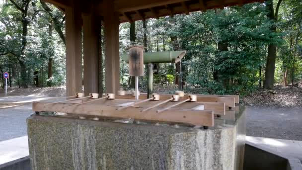 Louche Fontaine Bois Japonais Intérieur Sanctuaire Tokyo Japon — Video