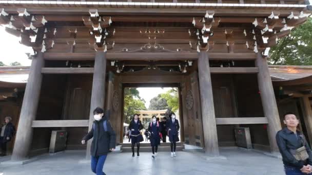 Tokyo Giappone Circa Marzo 2017 Ingresso Del Santuario Meiji Jingu — Video Stock