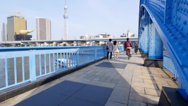 日本东京 2017年3月 住田君河与东京 Skytree 和朝日啤酒大厦的看法 — 图库视频影像