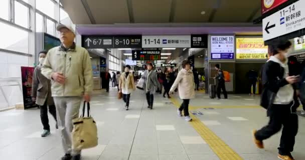 Passagerer Lufthavnsterminalen – Stock-video