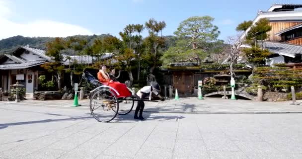 東京都内の皇居 現在の皇居は天皇の住む場所である — ストック動画
