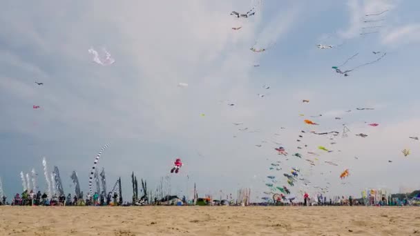 Cervia Italy エイプリル25 2013年4月25日 セルビアで開催される国際凧祭りの凧でいっぱいの空 1981年から毎年世界中から凧揚げ大会が開催されています — ストック動画