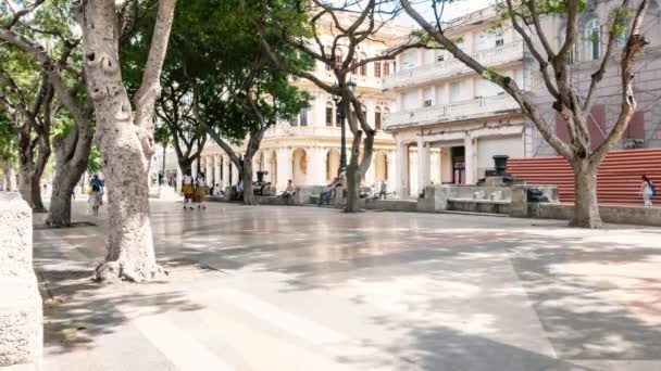 Havana Cuba 2019 Mart Yürüyen Insanlarla Paseo Del Prado Nun — Stok video