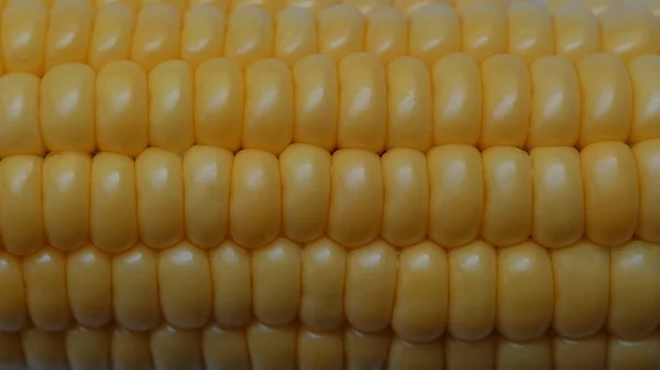 Кукурузный Фон Макро Крупный План — стоковое фото