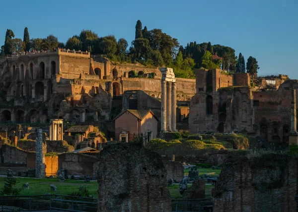 Roma, İtalya. Antik kalıntılar M.ö. 2 Augustus Forum üzerinde Mars Ultor Tapınağı