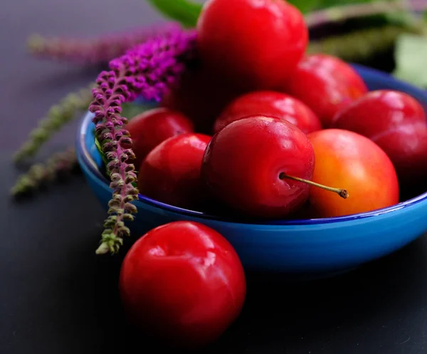 Olgun kırmızı erik mavi seramik Kupası