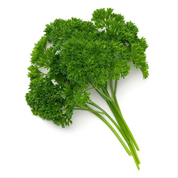 Parsley Leaves Isolated White Background Top View — Stock Photo, Image