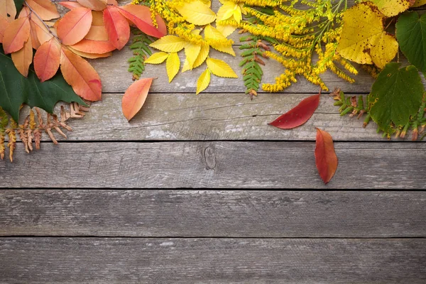 Autumn Leaves Wood Background Copy Space Top View — Stock Photo, Image