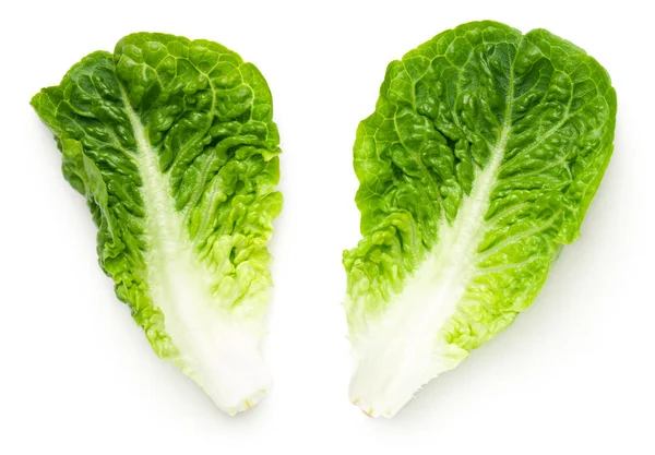 Romaine Lettuce Leaves Isolated On White Background — Stock Photo, Image