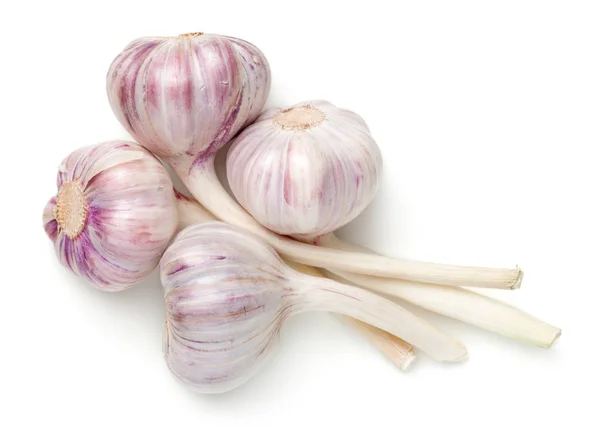 Young Garlic Isolated On White Background — Stock Photo, Image