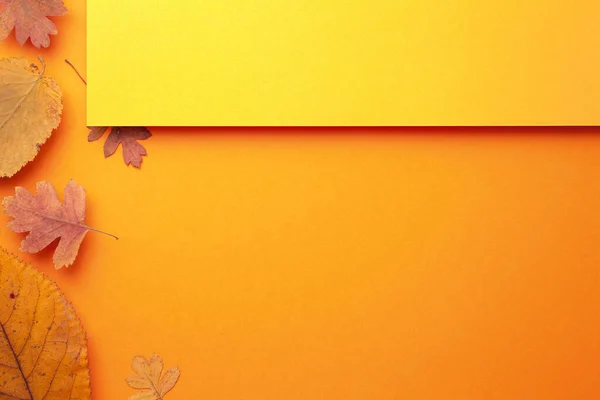 Sfondo Autunnale Con Foglie Colorate Sfondo Arancione Ricevuto Spazio Vuoto — Foto Stock