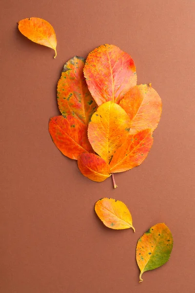 Fresh Orange Leaves Formed Leaf Shape Brown Paper Background Vertical — Stock Photo, Image