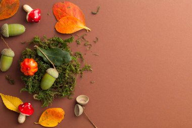 Sonbahar sembollü kompozisyon. Yeşil yosun, meşe palamudu, mantar, balkabağı ve kahverengi kağıtta renkli yapraklar. Uzayı kopyala Üst görünüm