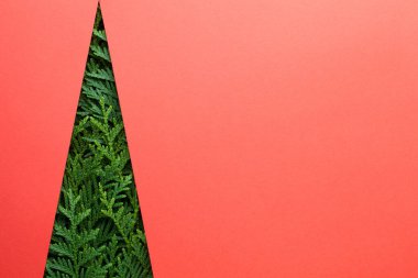 Haydut dallarından yapılmış en az yaratıcı noel ağacı. Kırmızı kağıt arkaplanda boşluk kopyala. Üst görünüm