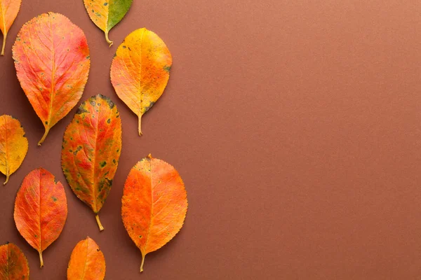 Autumn Minimal Background Orange Leaves Brown Paper Empty Room Text — Stock Photo, Image