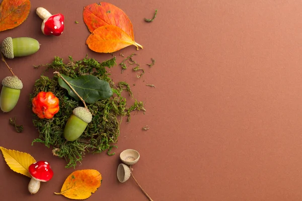 Composizione Con Simboli Autunnali Muschio Verde Ghianda Sgabello Zucca Foglie — Foto Stock