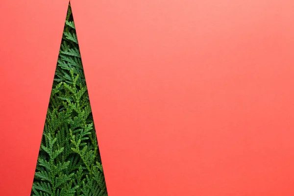 Haydut Dallarından Yapılmış Yaratıcı Noel Ağacı Kırmızı Kağıt Arkaplanda Boşluk — Stok fotoğraf